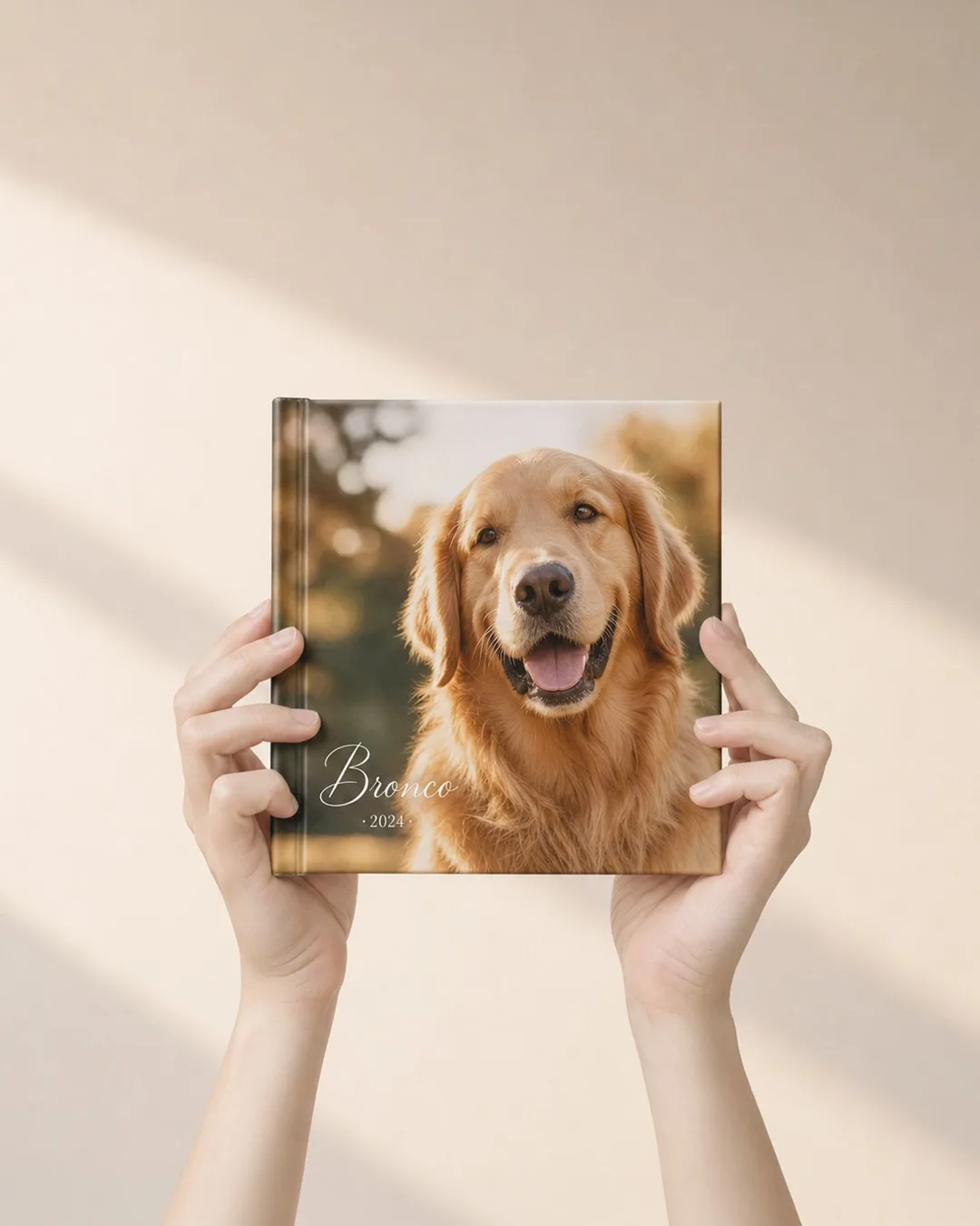 Daily Photobook